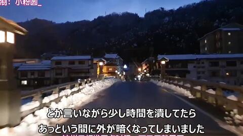 日本自驾 碓冰下山真的能如此丝滑 指路本身 哔哩哔哩