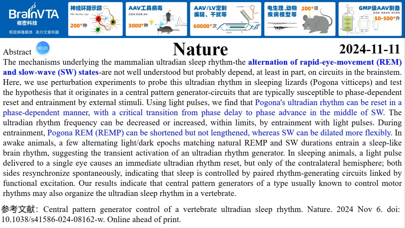 Nature—睡眠理论重磅突破!大脑中存在一个”中央模式发生器“调控睡眠时相的交替转变哔哩哔哩bilibili