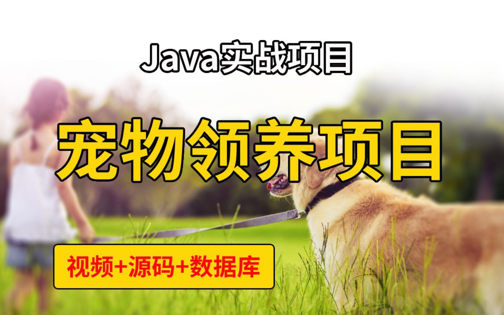 毕业设计——Java宠物领养系统,手把手教你开发,2小时教你做出Java宠物领养系统项目(附源码课件)javajava基础java入门哔哩哔哩bilibili