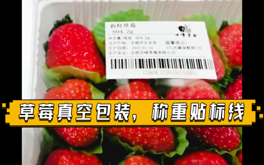 草莓称王加冕之旅气调包装称重价格贴标