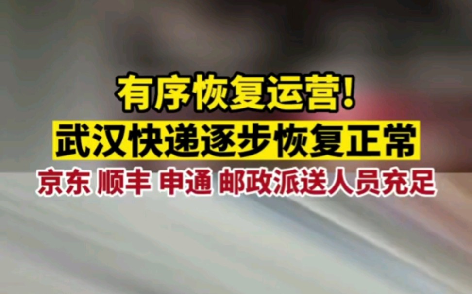 有序恢复运营!武汉快递逐步恢复正常.京东 顺丰 申通 邮政派送人员充足哔哩哔哩bilibili