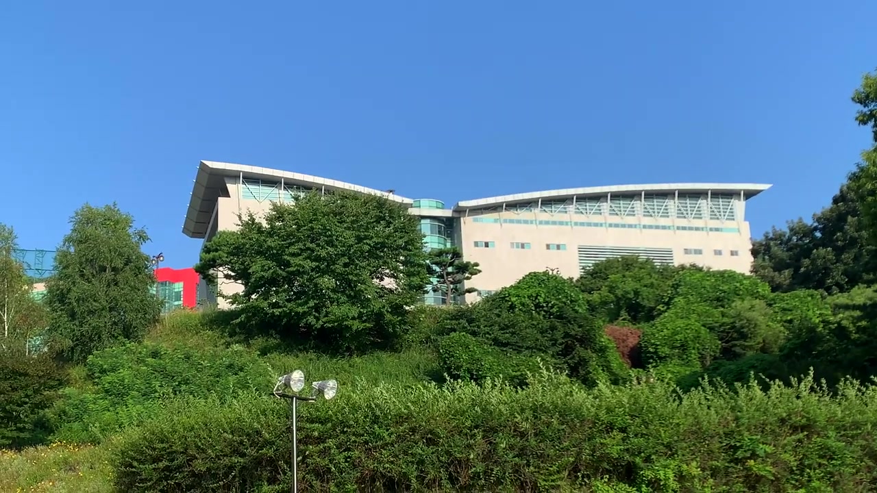 韩国龙仁大学图片