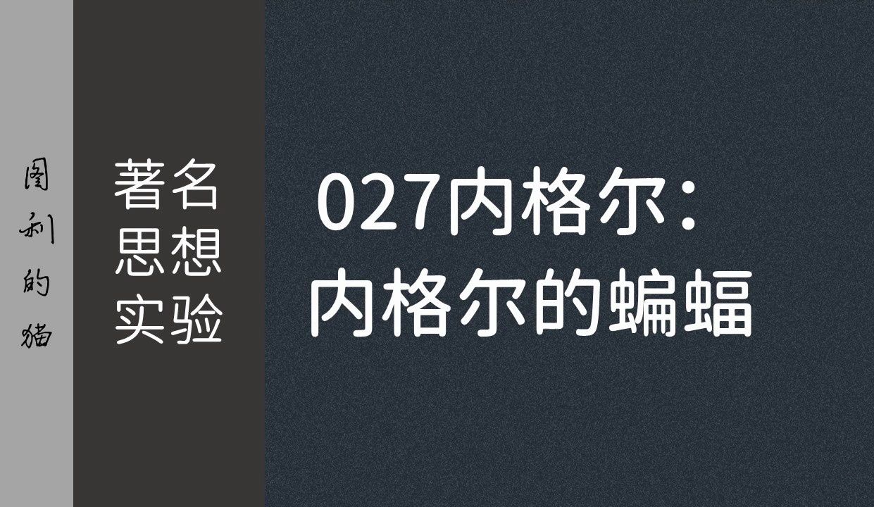 著名思想实验027:内格尔——作为一只蝙蝠是怎样的?哔哩哔哩bilibili