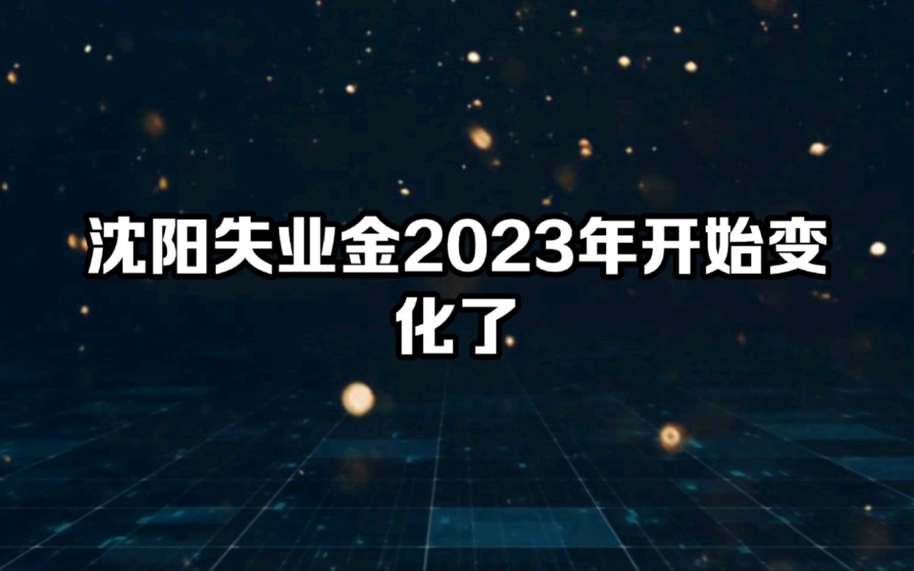 沈阳领取失业金,2023年少了点哔哩哔哩bilibili