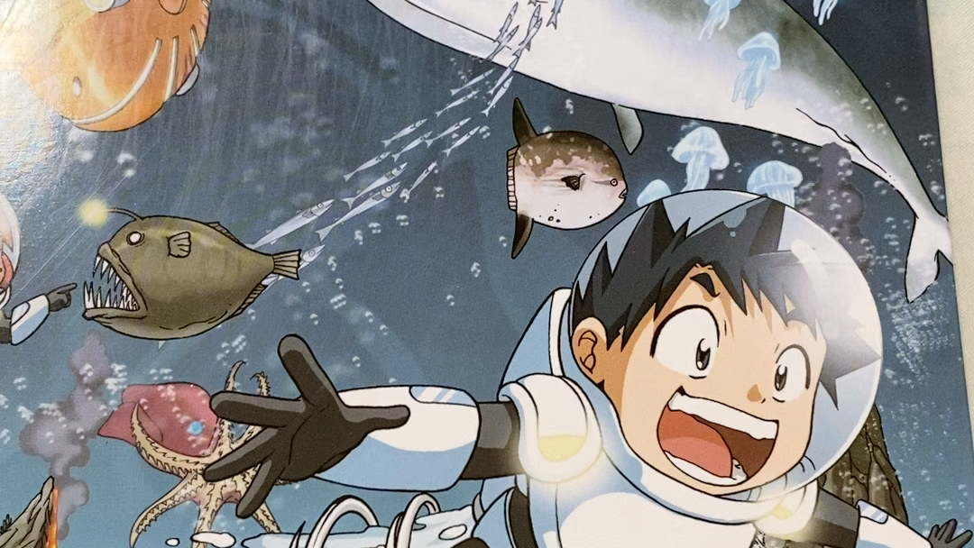 无人岛探险记-常识17