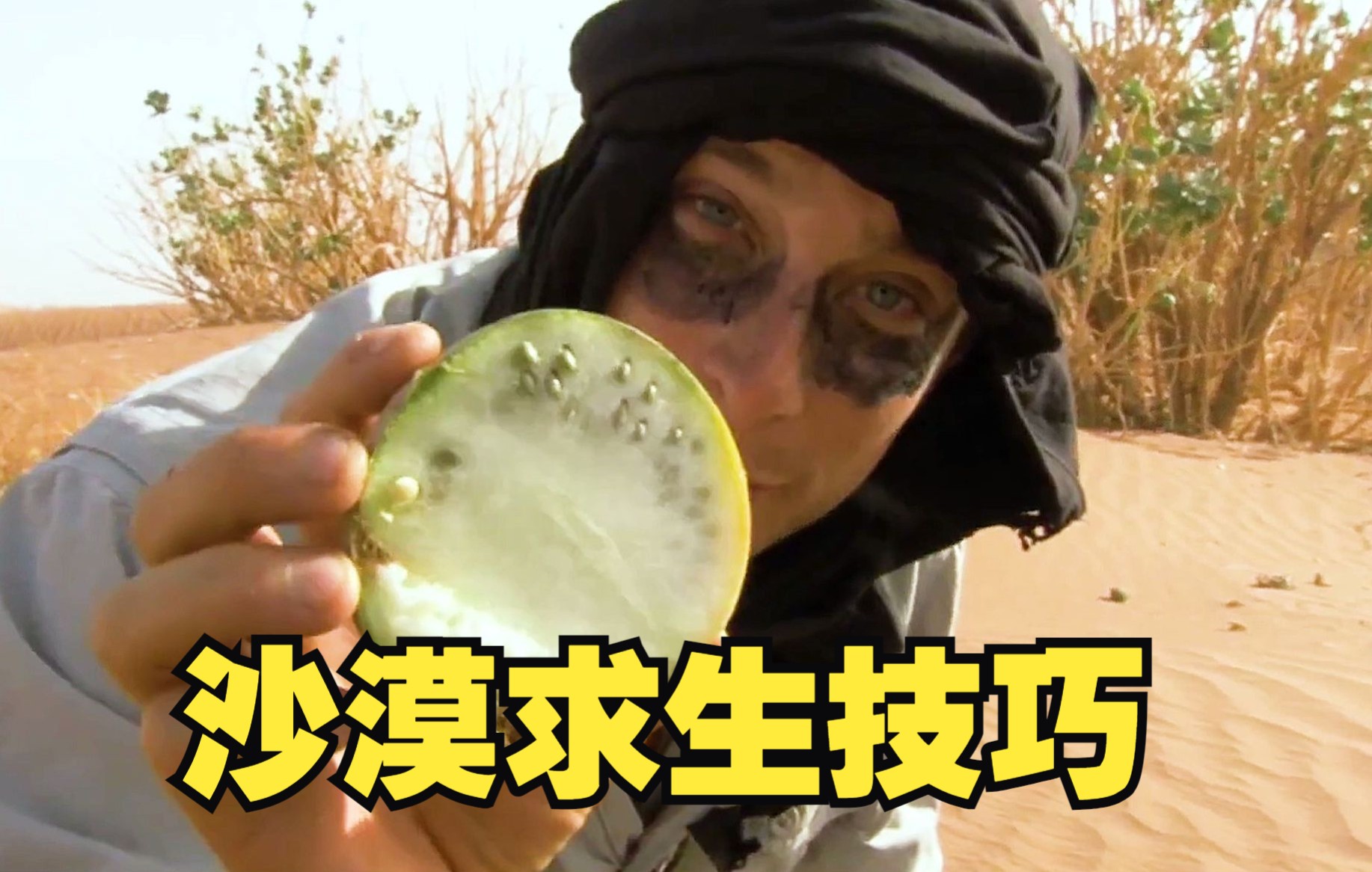 活动作品荒野求生看贝爷在撒哈拉沙漠演示求生技巧