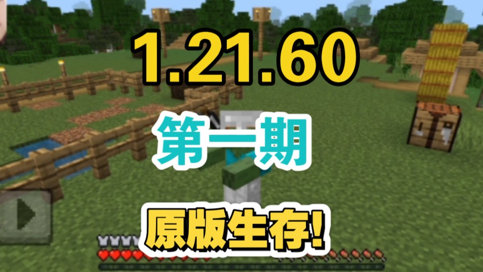 mc原版生存1.21.51快照版本(第一期)!哔哩哔哩bilibili