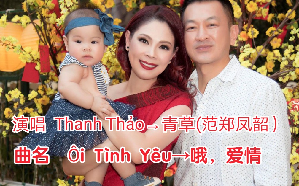 [图]【越南歌曲】【演唱 Thanh Thảo→青草(范郑凤韶）】【曲名 Ôi Tình Yêu→哦唷，爱情】2013年发布版本，带歌词版本