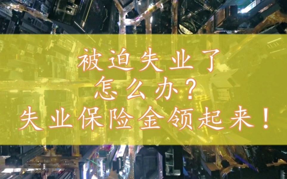 在成都,非本人意愿中断就业了怎么办?成都失业金申领指南一定要收好!哔哩哔哩bilibili