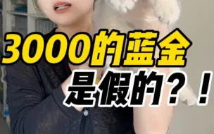 Download Video: 3000的蓝金是假的 ？！