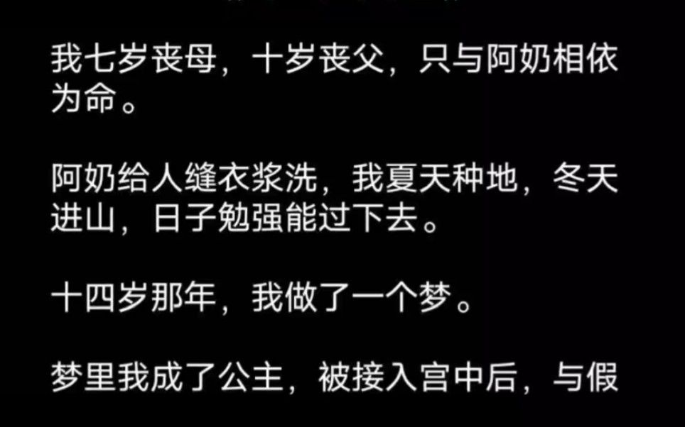 十四岁那年,我做了一个梦,梦里我成了公主,被接回宫后,我和假公主两人斗得死去活来,都成了穿越女的踏脚石……哔哩哔哩bilibili