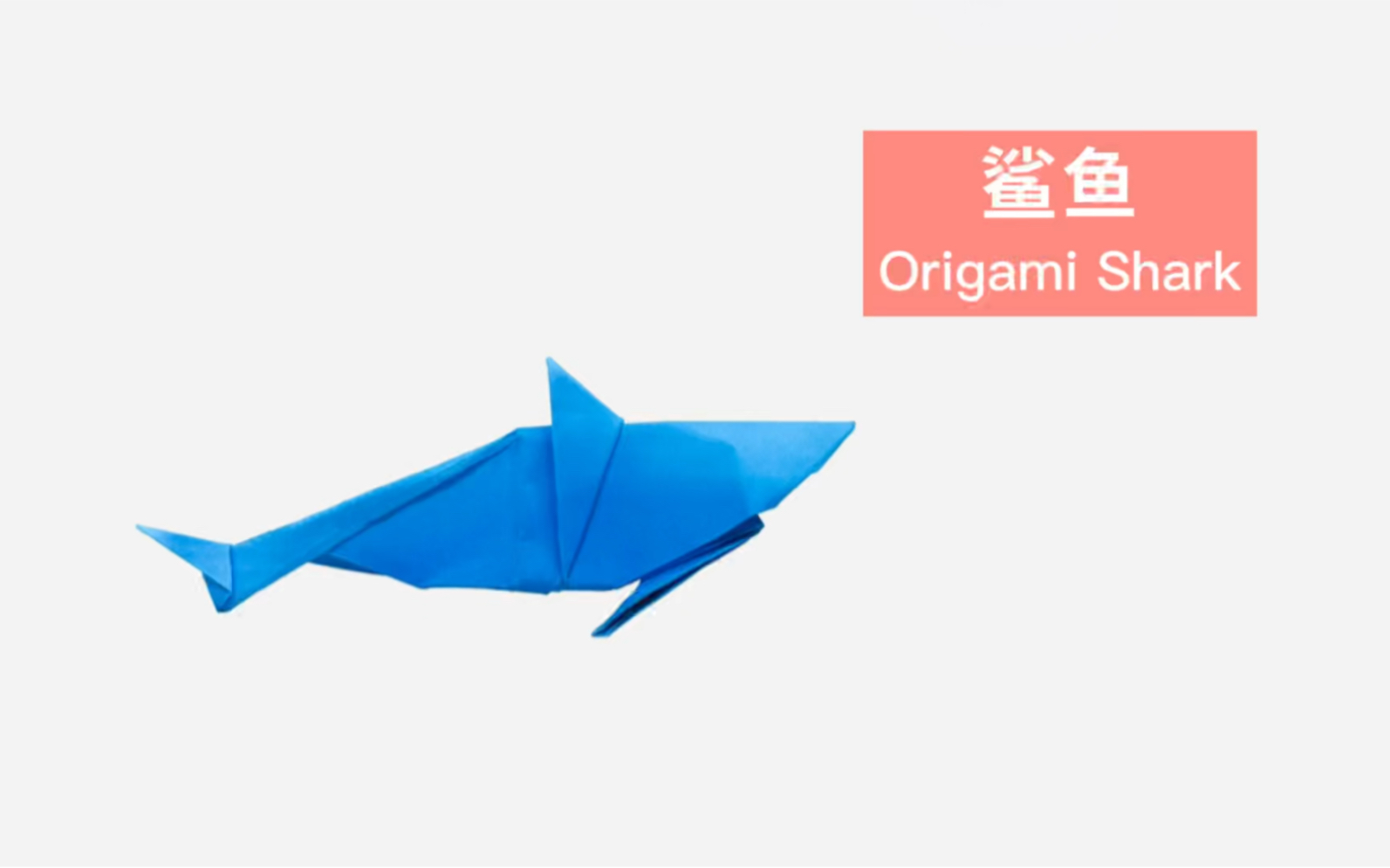 【折纸教程】鲨鱼 Origami Shark哔哩哔哩bilibili