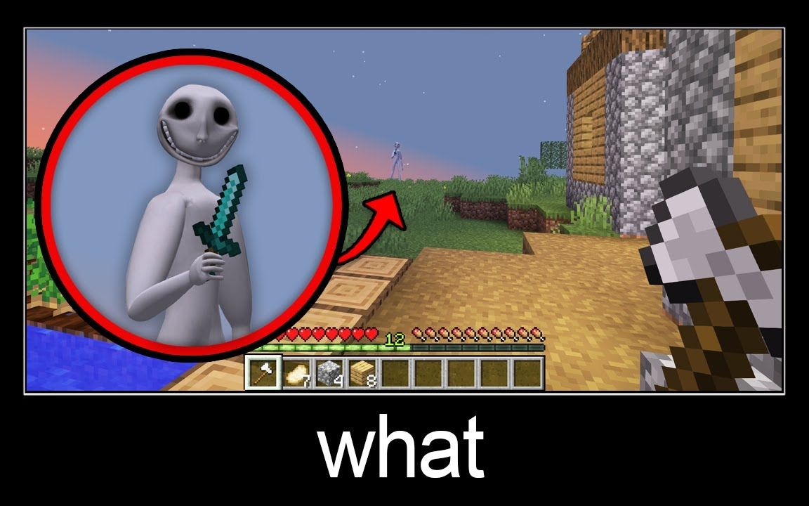 [图]Minecraft wait what meme part 276 (The Man From The Window) 【搬运】