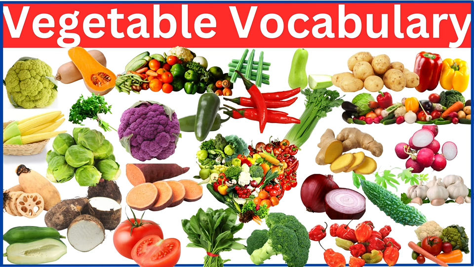 【幼儿英语启蒙】 80 vegetables哔哩哔哩bilibili