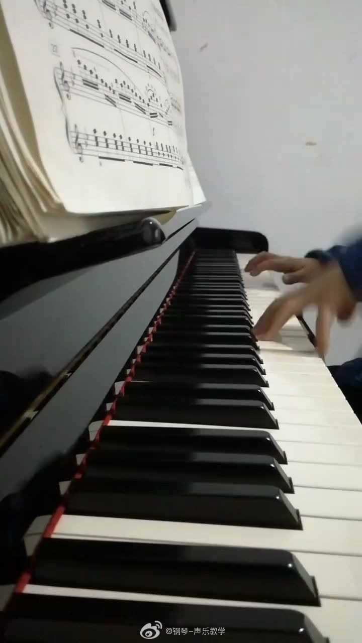 布格缪勒100p9行猎