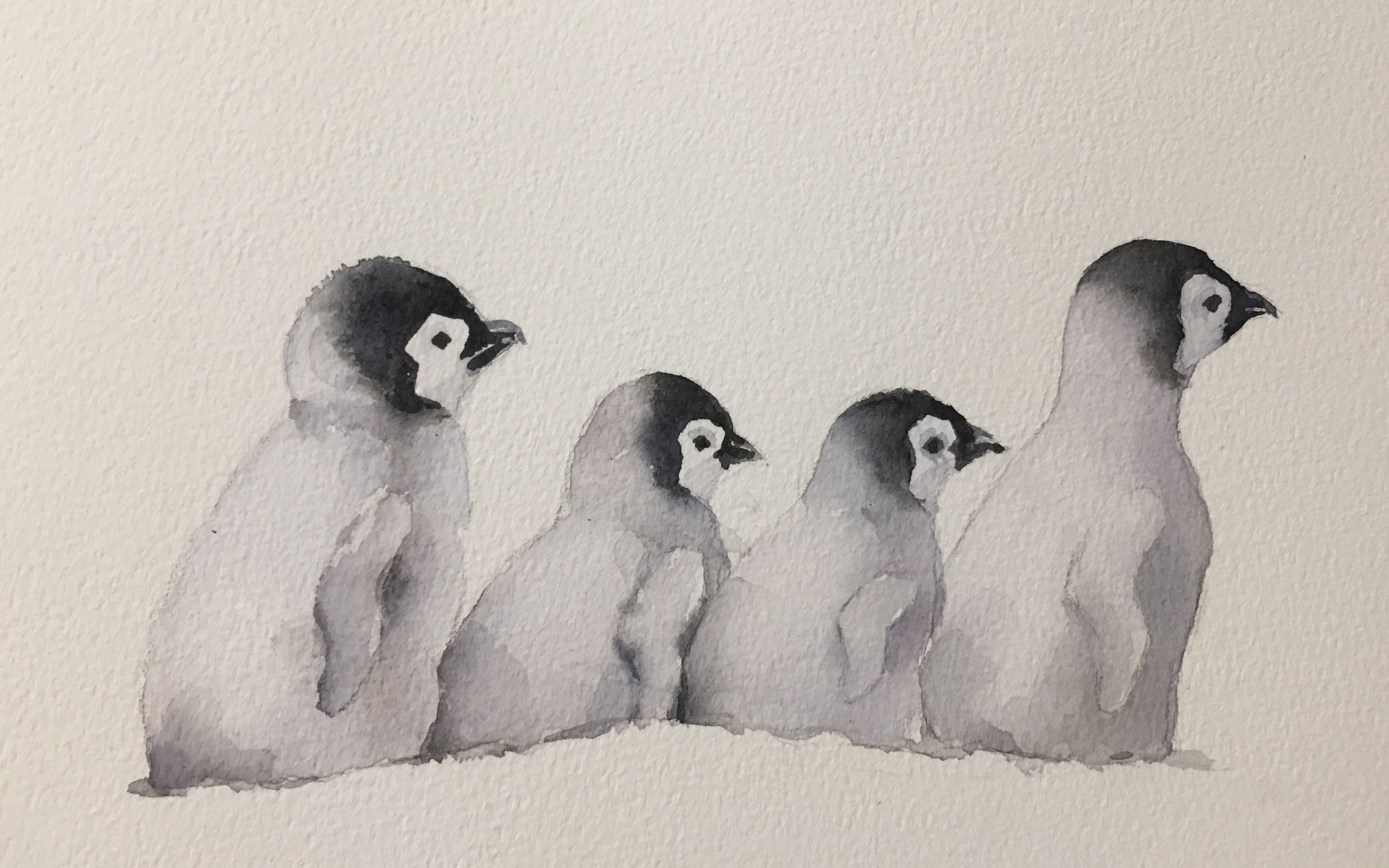 新手向【水彩教程】企鹅宝宝