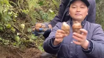 记录真实的基地生活