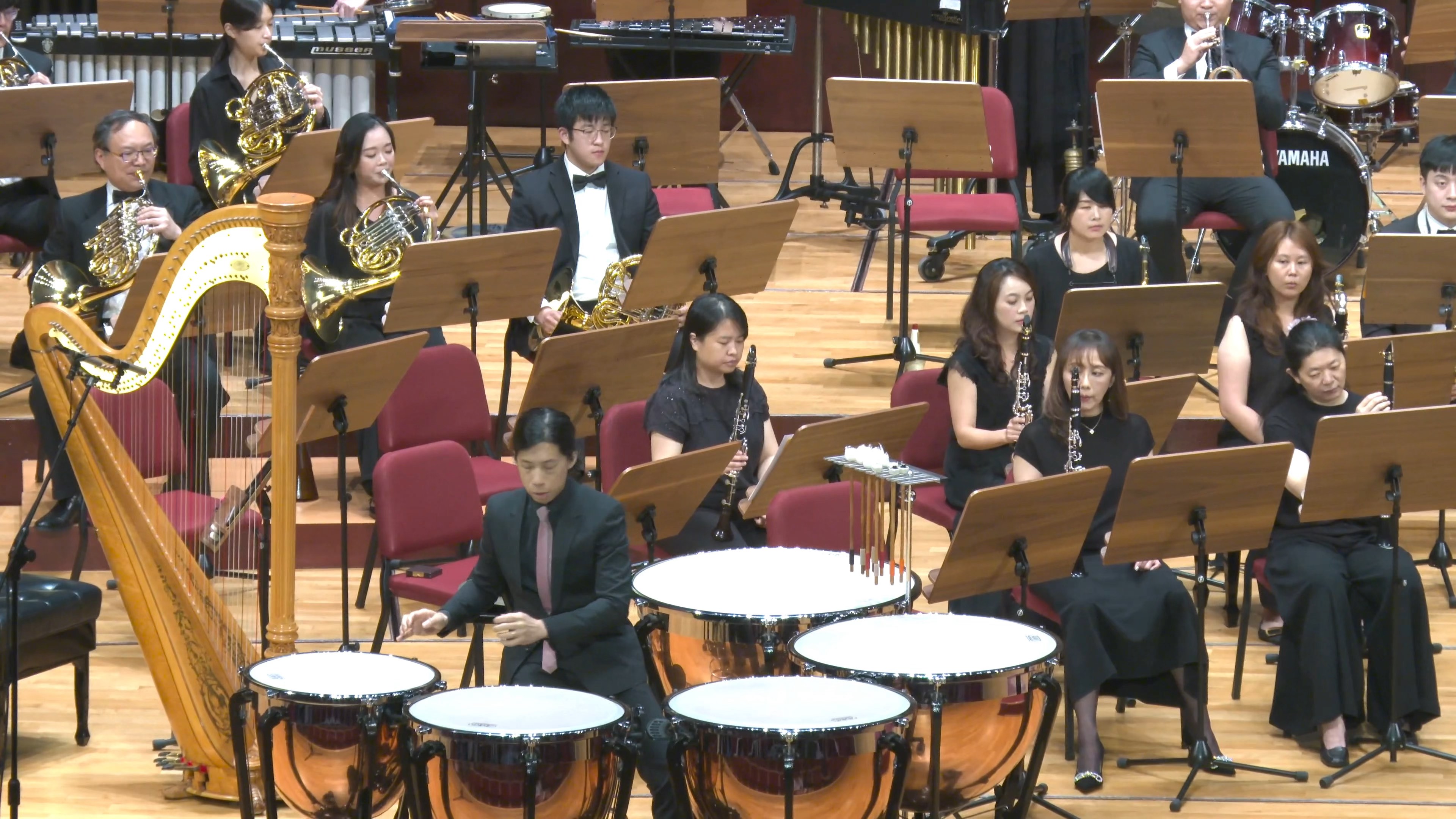 罗萨洛定音鼓协奏曲第二乐章