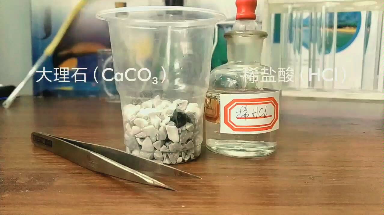 【化学实验】大理石遇到稀盐酸