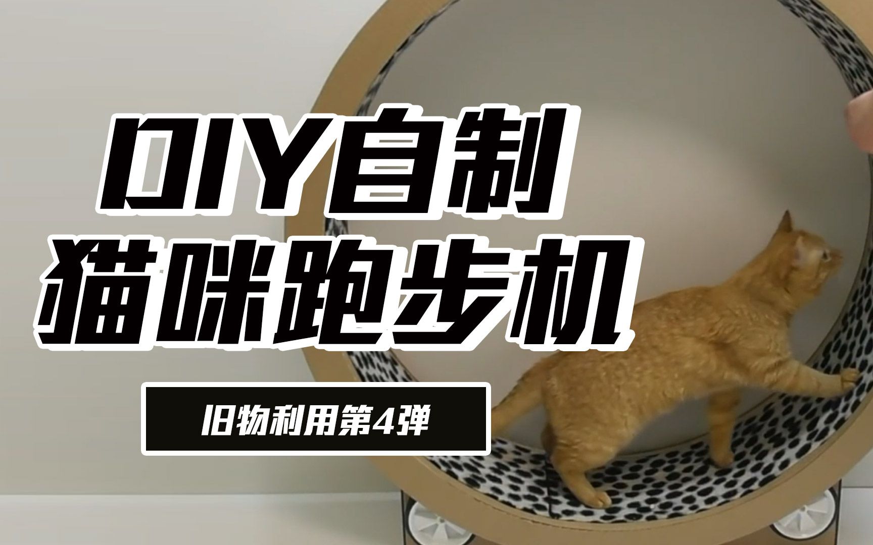 自制diy手工猫咪跑步机纸箱旧物利用新手教程