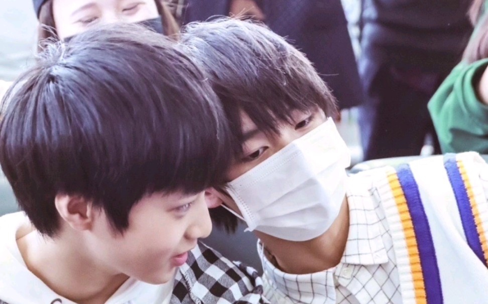 【文鑫】从遇见就一直陪伴,狐狸看着狼崽长大,他们都去彼此坚定不移的