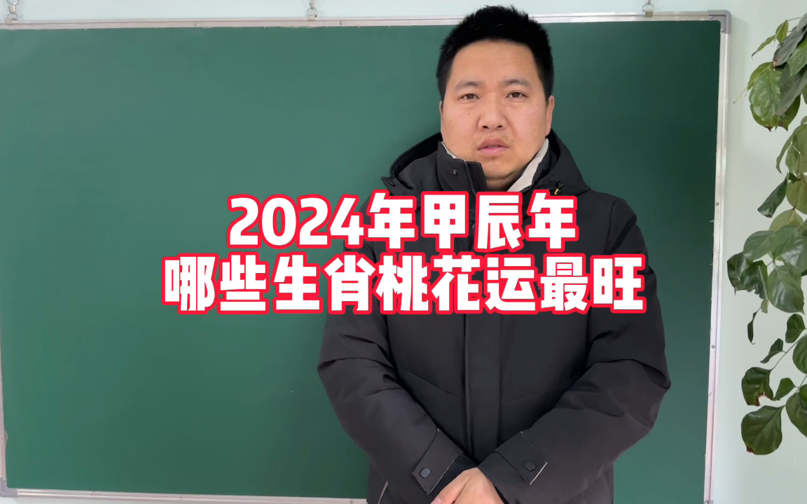 2024年甲辰年十二生肖哪些桃花运最旺最好哔哩哔哩bilibili