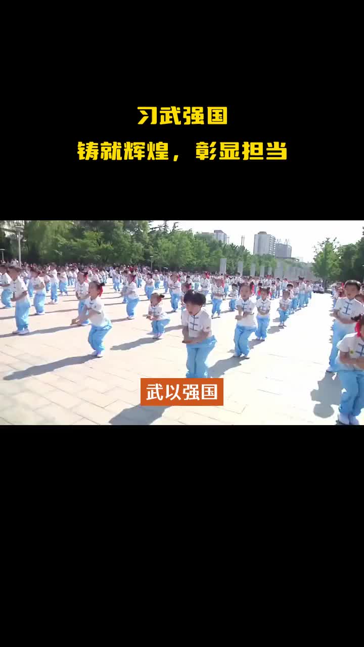 “习武强国,铸就民族魂——传承武术精神,共筑强国梦想!”哔哩哔哩bilibili