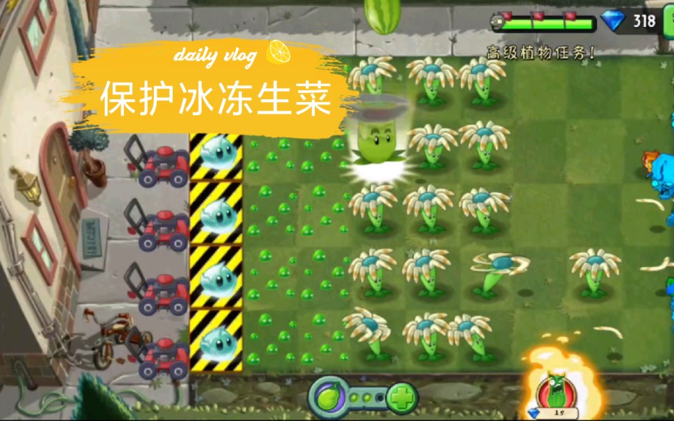 植物大战僵尸2旅行原木第5天保护冰冻生菜通关攻略
