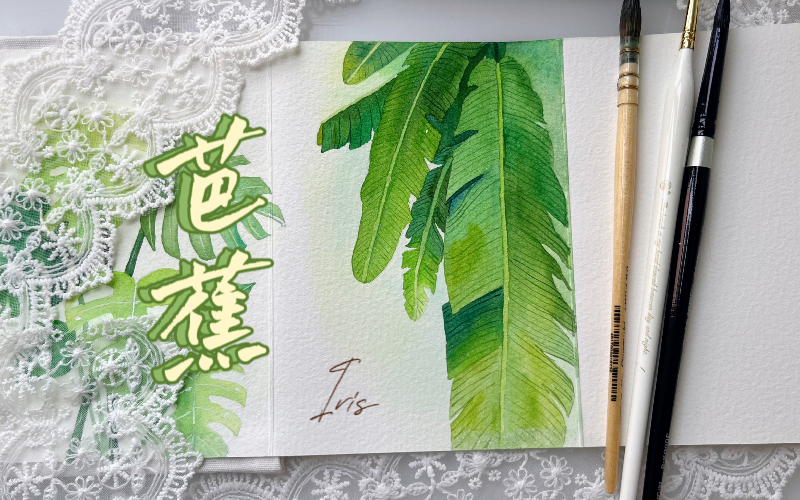 水彩|芭蕉叶清爽一夏