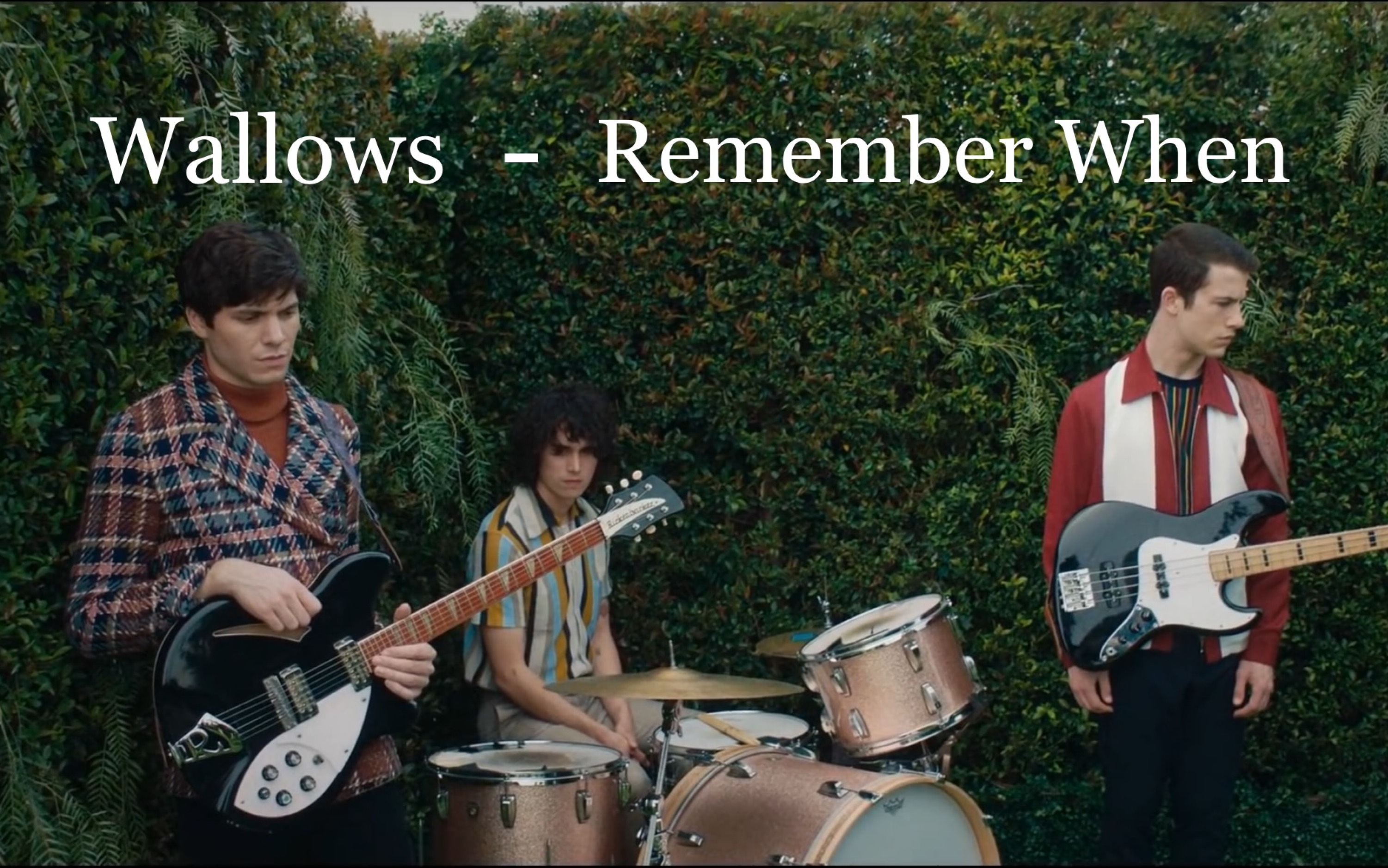 [图]Wallows - Remember When (Official Video)