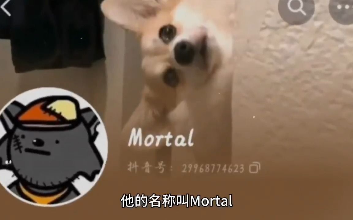 [图]大型纪录片 灰太狼mortal，他在那天晚上就已经西去了