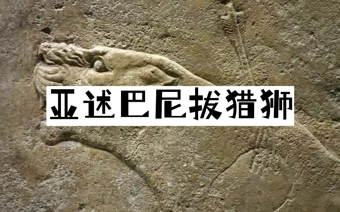 【中字】可汗学院艺术史:亚述巴尼拔猎狮哔哩哔哩bilibili