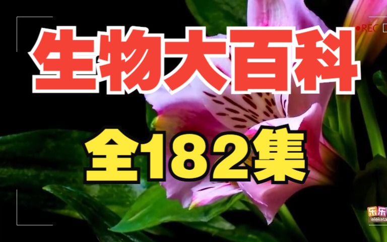 【全182集】中小学生物大百科 适合612岁孩子 生物启蒙 搭建一个神奇的生物世界哔哩哔哩bilibili