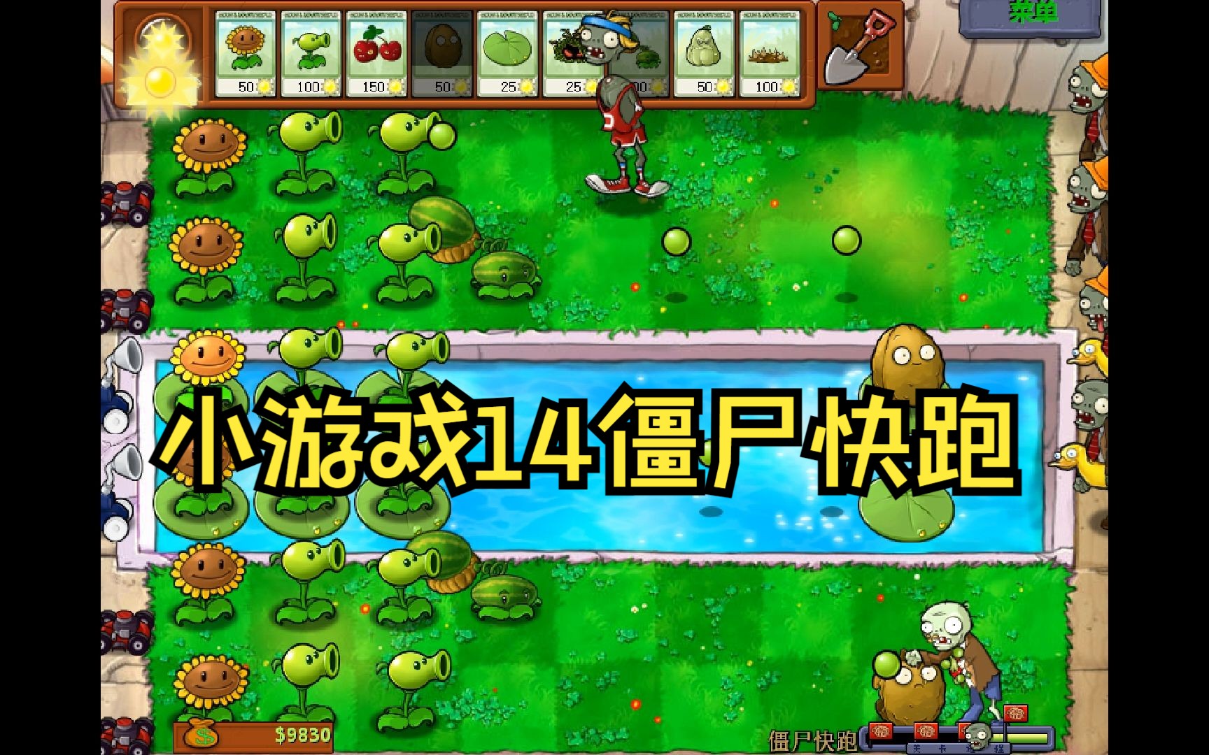植物大战僵尸基础版-小游戏14僵尸快跑