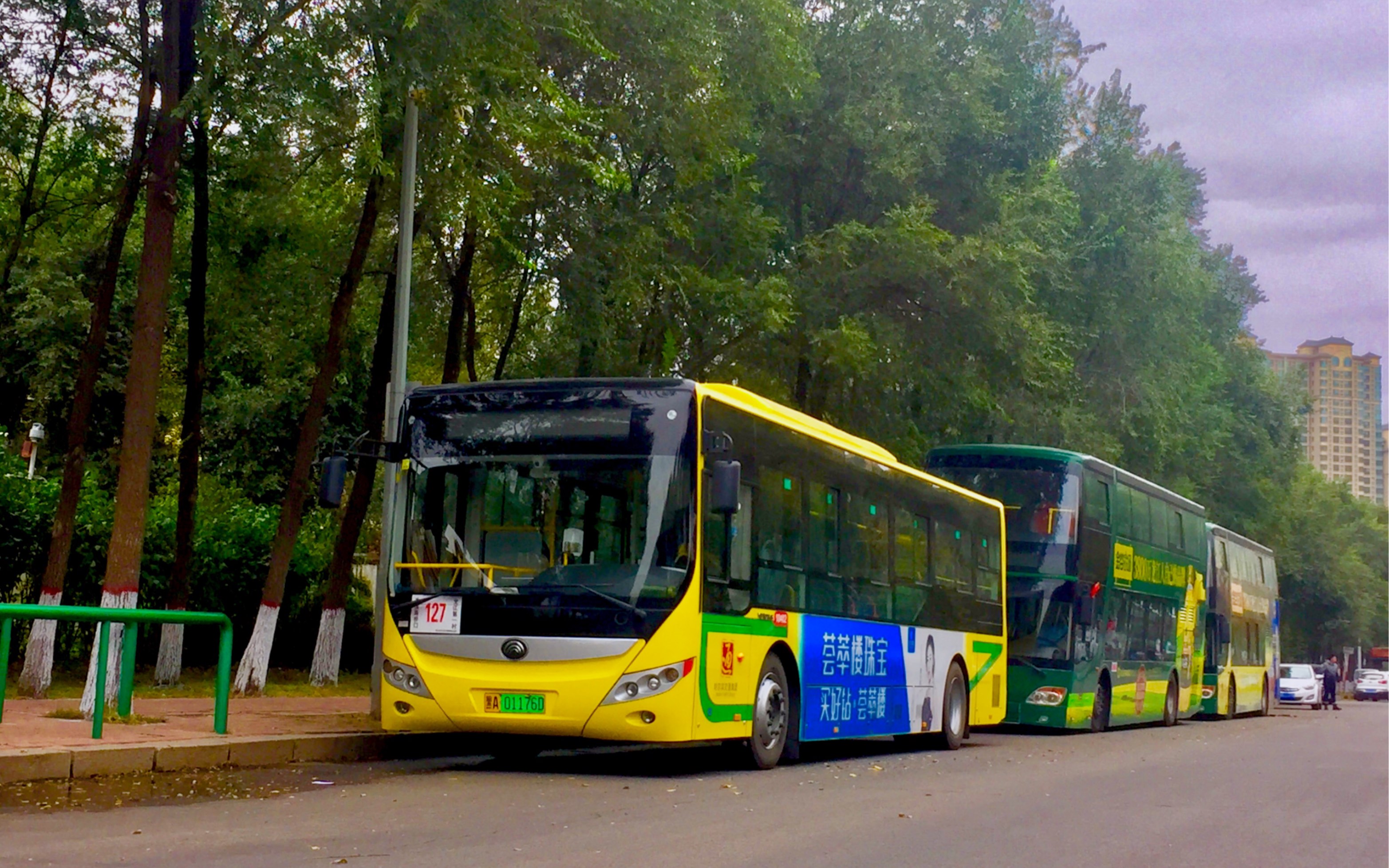 【周年纪念】哈尔滨公交·127路pov(香滨路桥口→龙江第一村)【pov