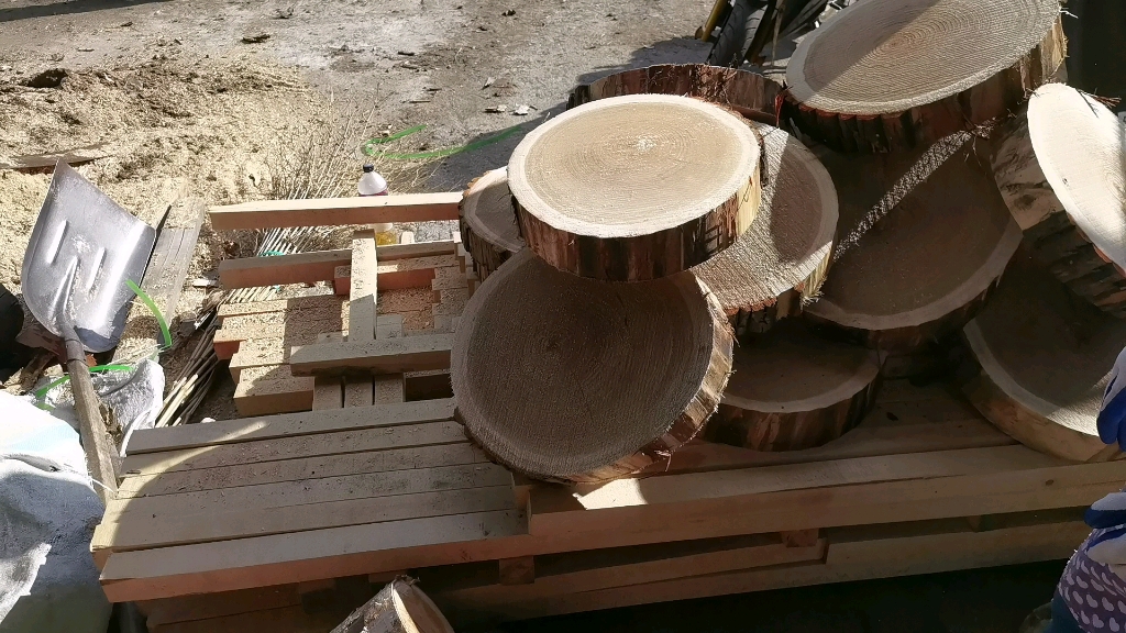 菜板中的劳斯莱斯,红毛柳菜墩,奈斯