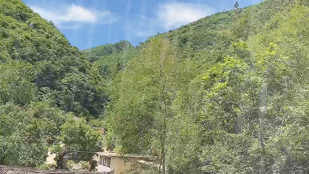 [图]太阳很好，万里晴空，突然起来的暴雨形成“太阳雨”