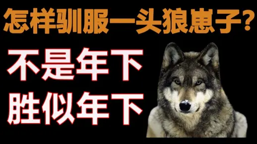 【半碗】谁不想拥有一只帅气多金的小狼呢！