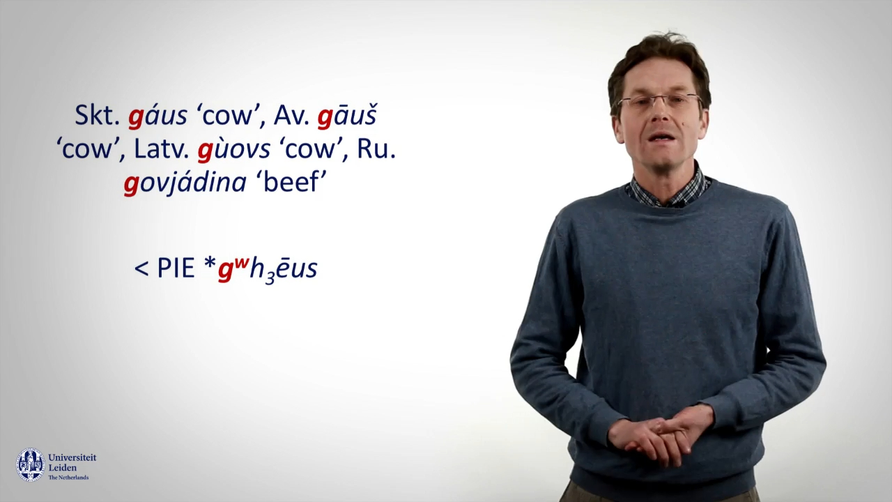 1.1 意大利-凯尔特语中的唇化软腭音