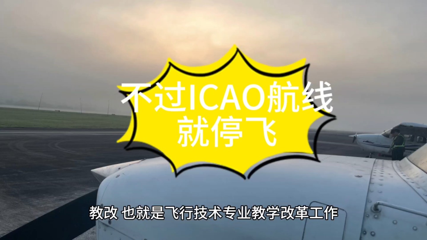 不过ICAO航线就停飞哔哩哔哩bilibili