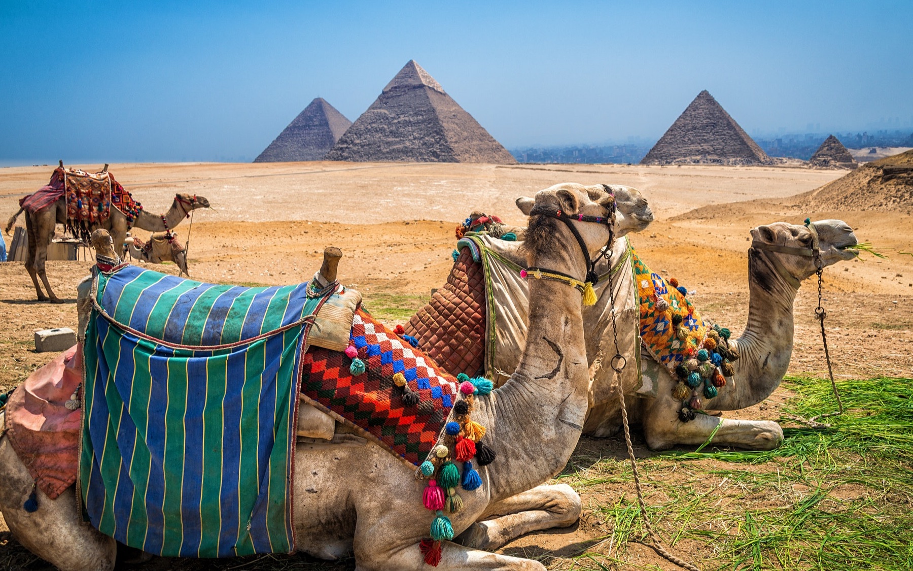 michelthomasarabicfoundation1