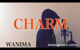 Wanima Charm 搜索结果 哔哩哔哩 Bilibili