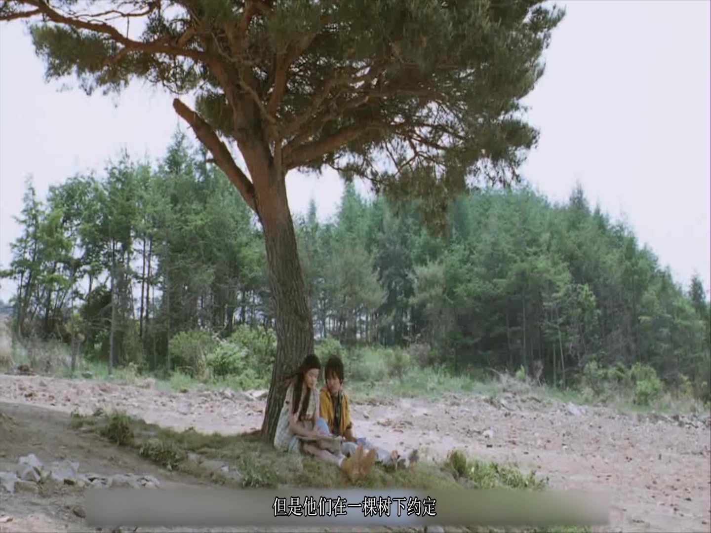 五分钟看完我的野蛮女友全智贤车太贤演艺爱情宝典