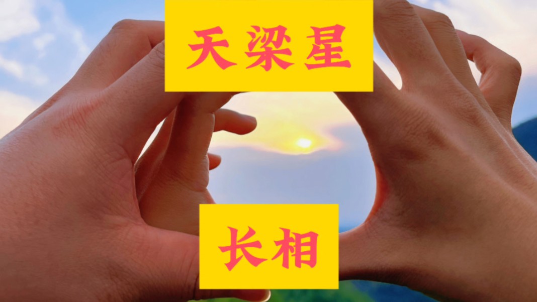 紫微斗数,天梁星长相