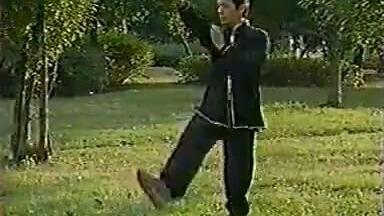 搬运】王树金赴日教学三大内家拳（形意、八卦、太极）记录_哔哩哔哩_