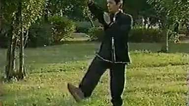 王树金-哔哩哔哩_Bilibili