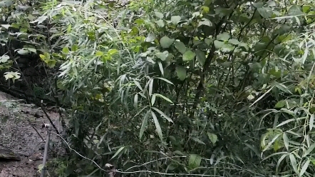 [图]2021年九月的秋雨