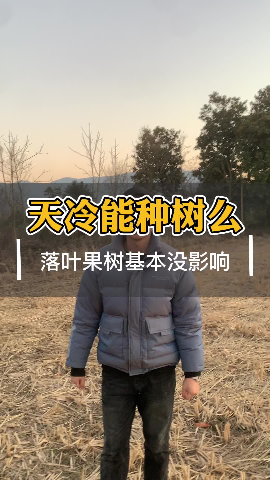 落叶果树和常绿果树最佳种植时间新山苗场哔哩哔哩bilibili