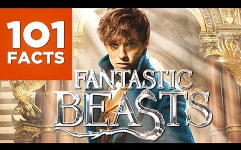 关于神奇动物在哪里的101个科普-生肉101 facts aboutfantastic