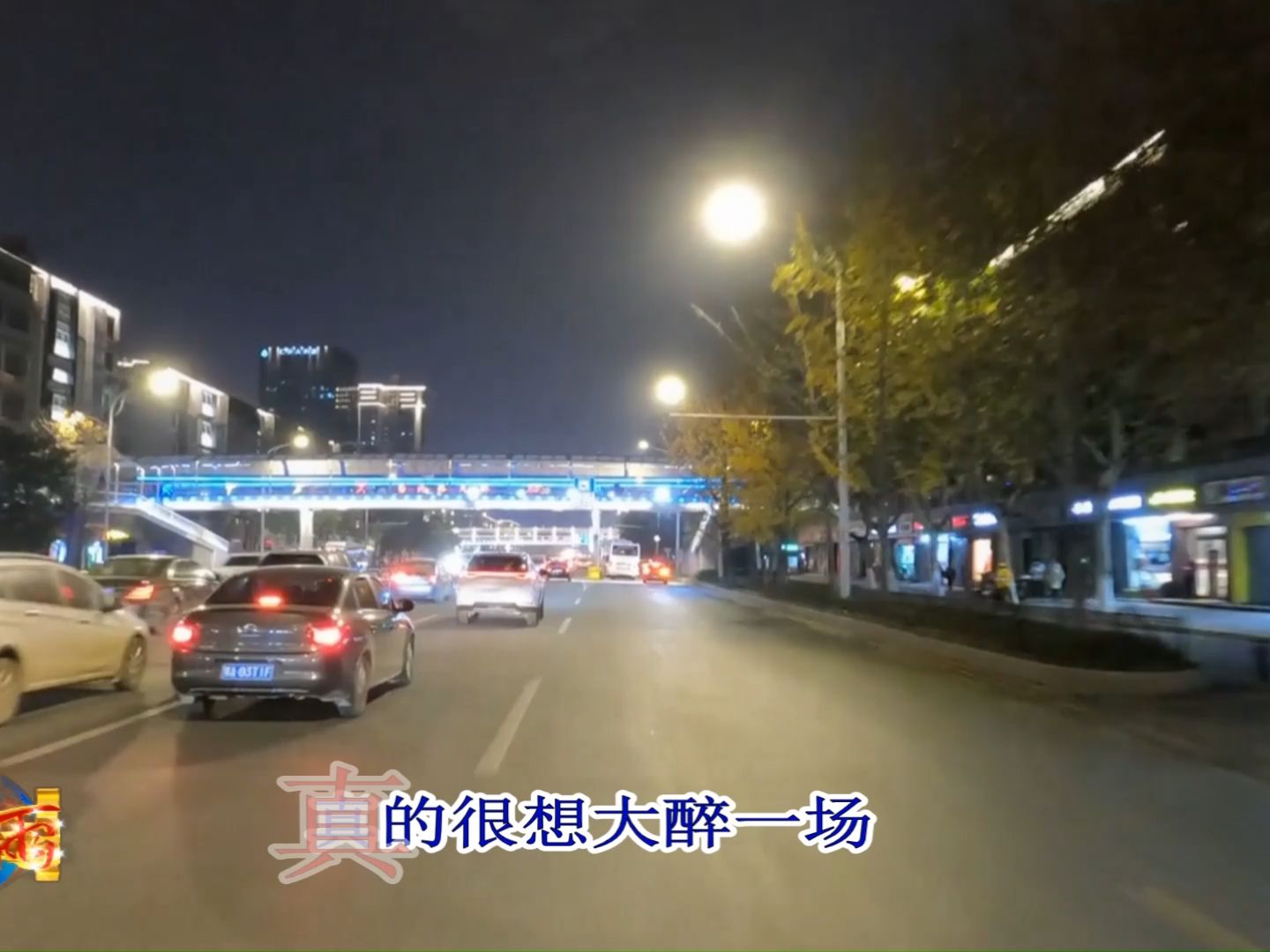 [图]#已过半生#DJ咚鼓剪辑版#车载音乐#情感音乐